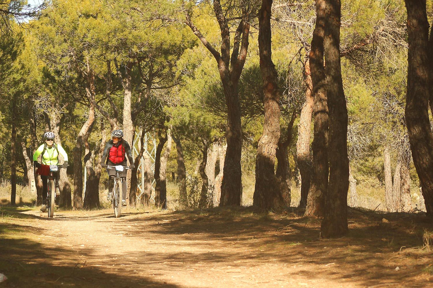 Valdemorillo 2015 Galeria 10