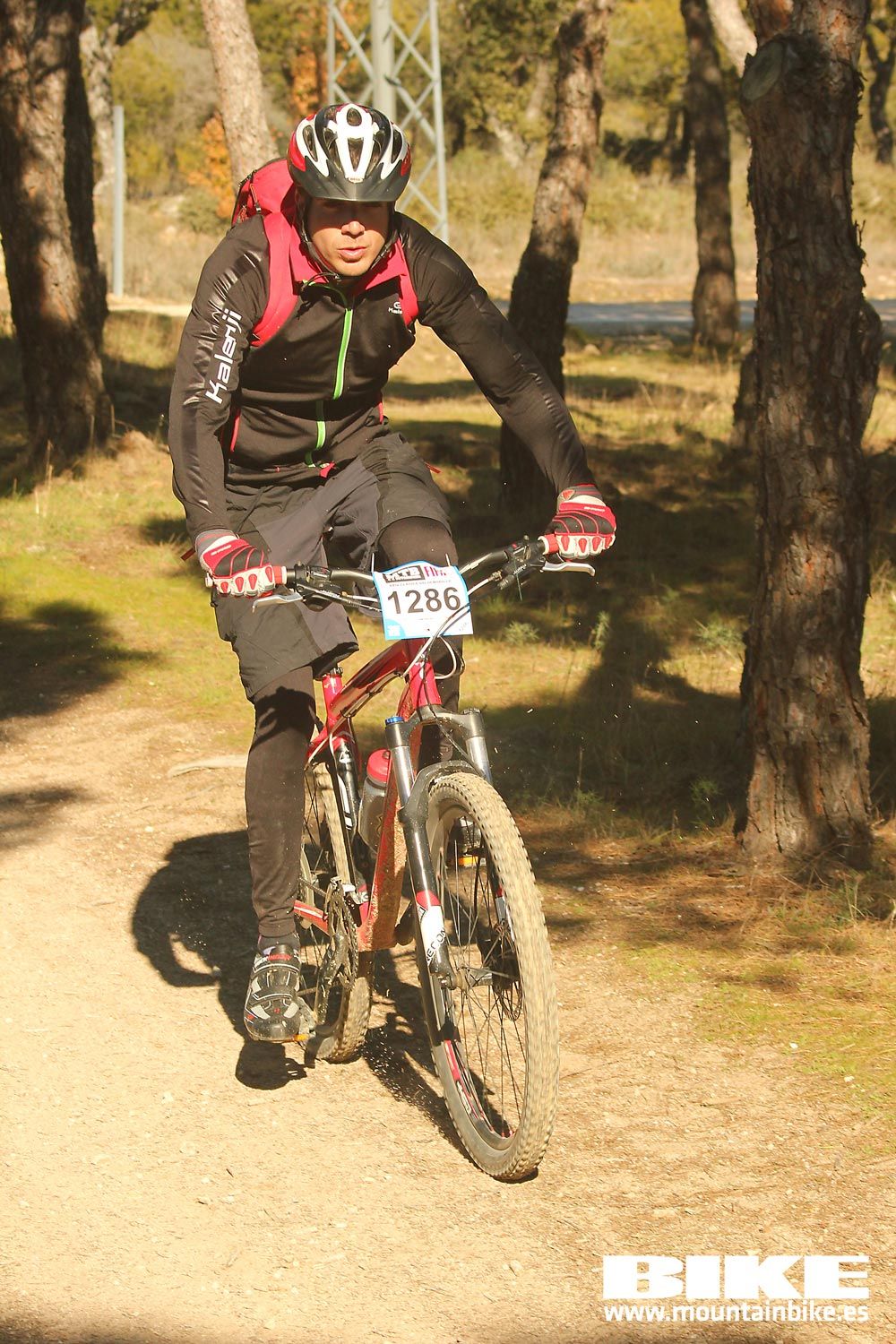 Valdemorillo 2015 Galeria 10