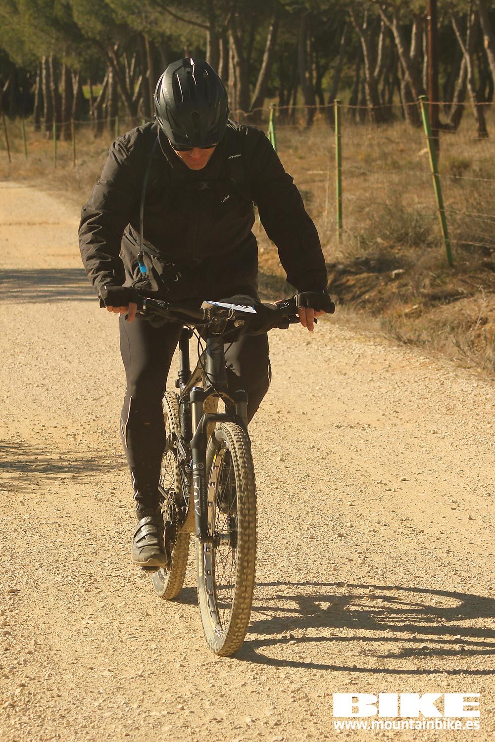 Valdemorillo 2015 Galeria 10