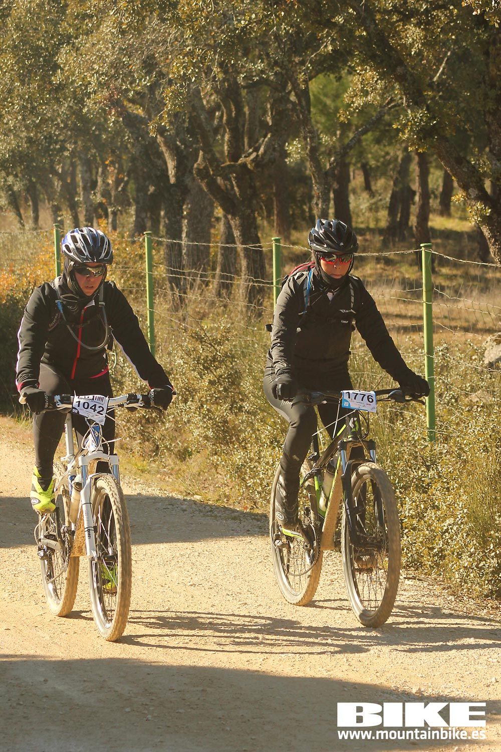 Valdemorillo 2015 Galeria 10