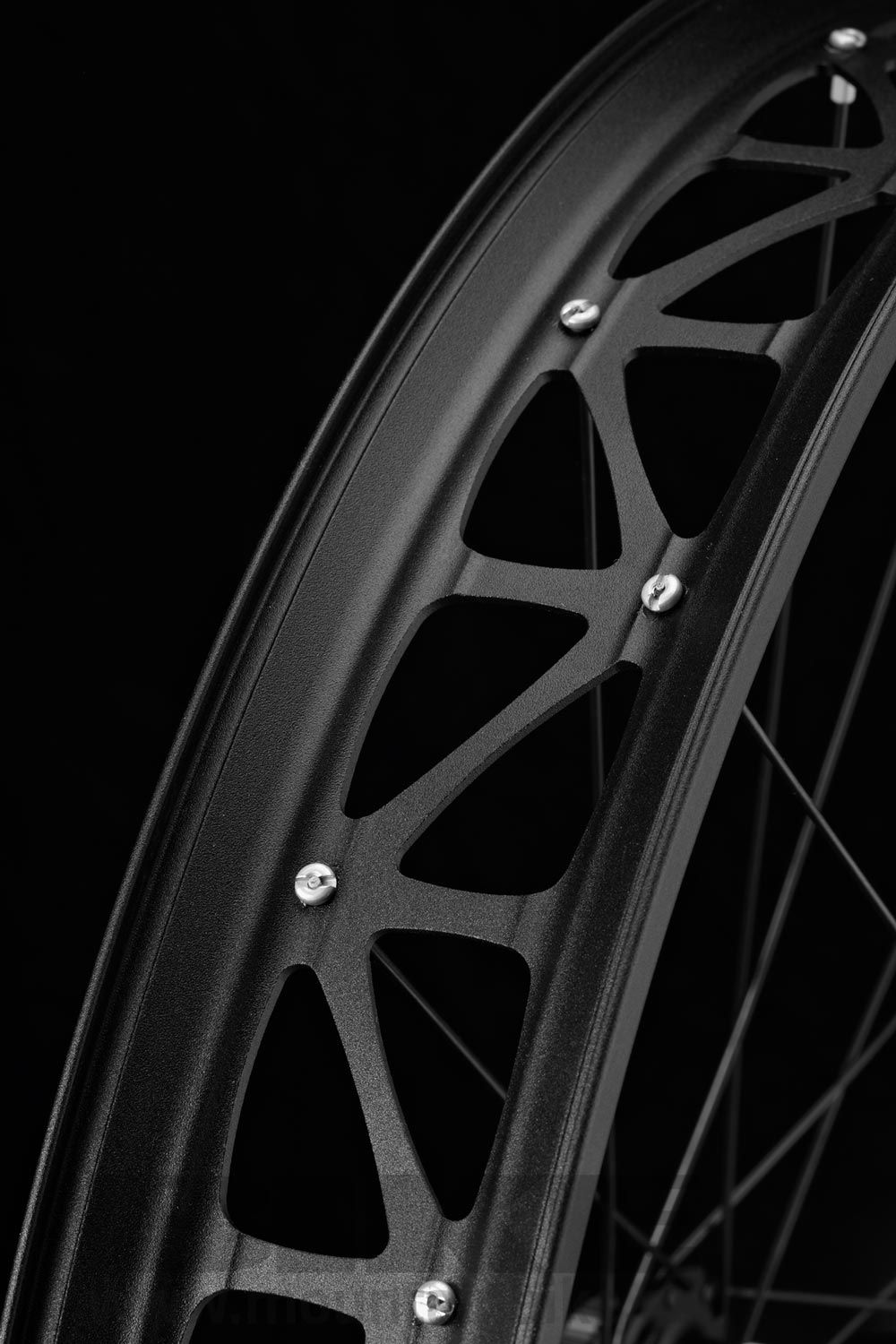 Ruedas DT Swiss BR 2250 Classic Falbike