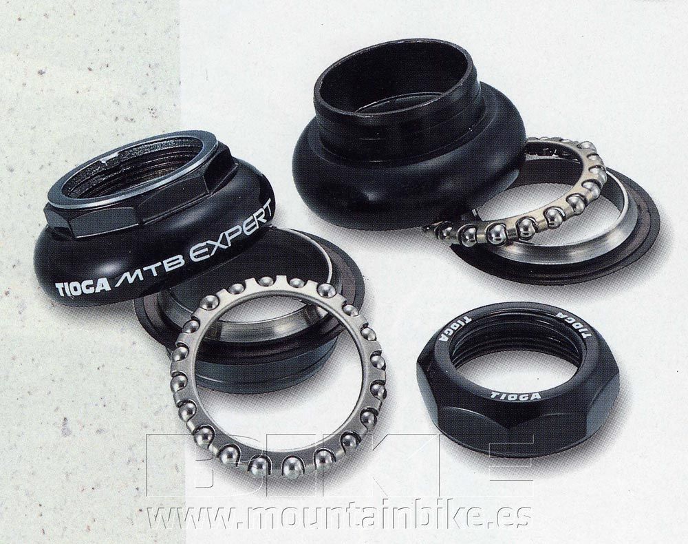 La historia de Tioga