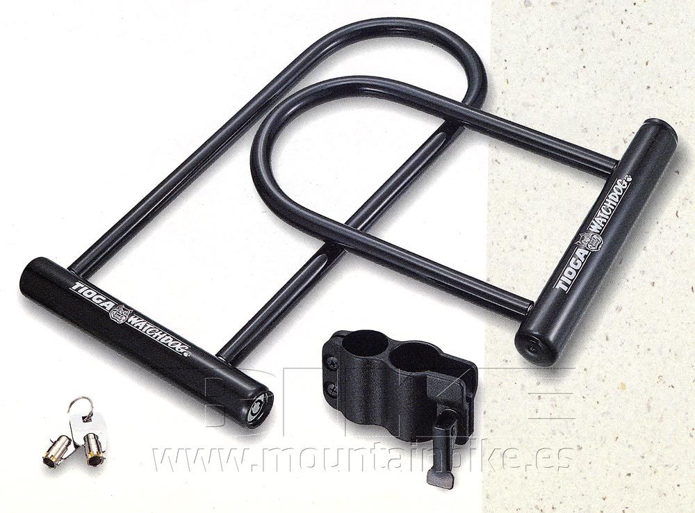 La historia de Tioga