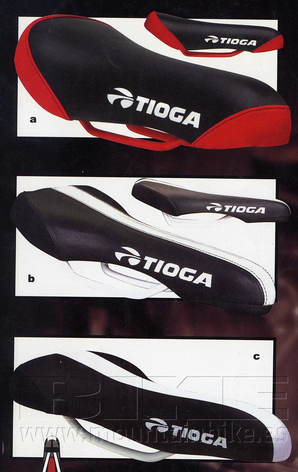 La historia de Tioga