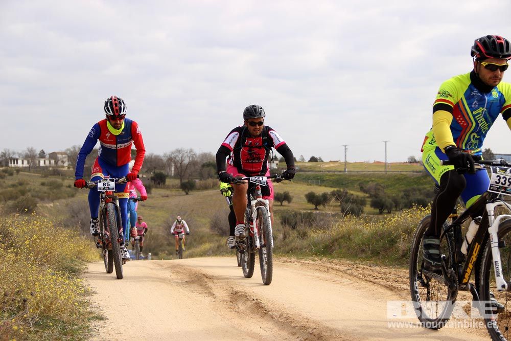 Navalcarnero al Límite 2015 Galería 4
