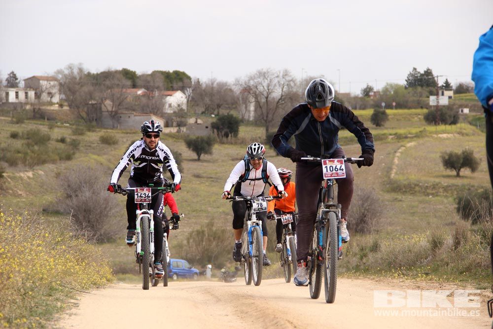 Navalcarnero Al Limite 2015 galería 8