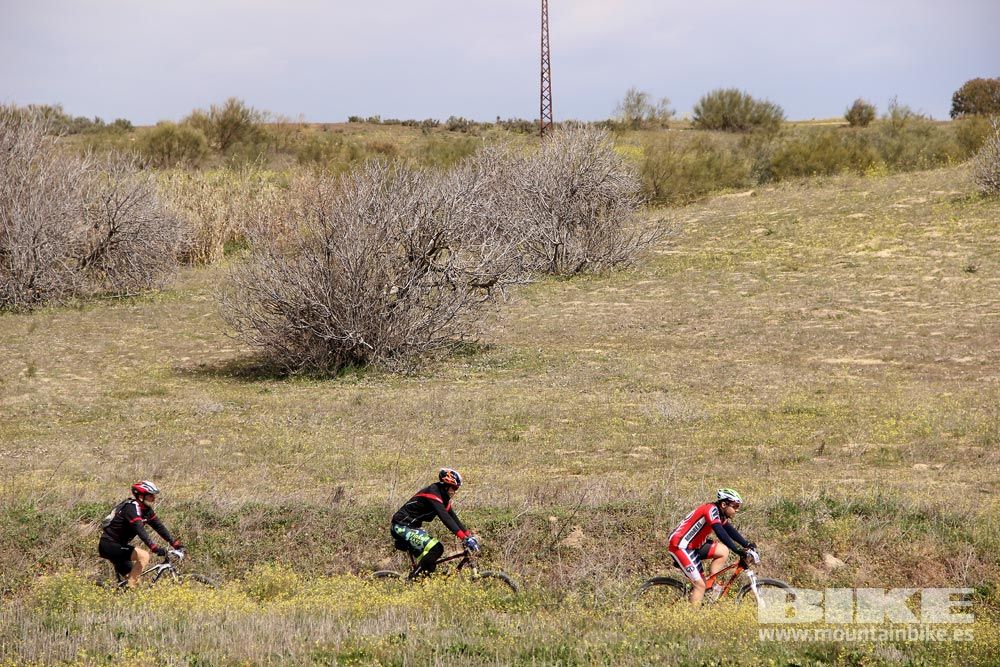 Navalcarnero Al Limite 2015 galería 12