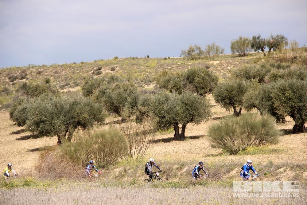 Navalcarnero Al Limite 2015 galería 12