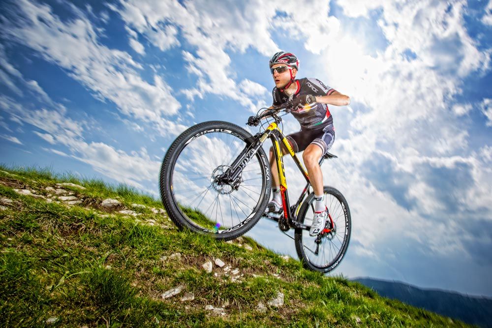 Wilier 101X 2016