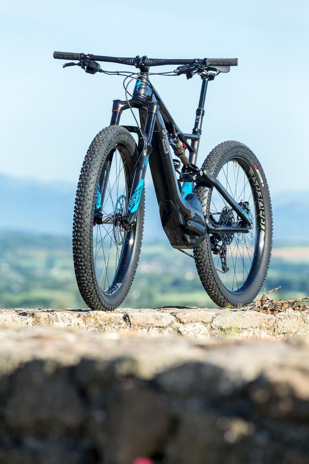 Specialized Turbo Levo