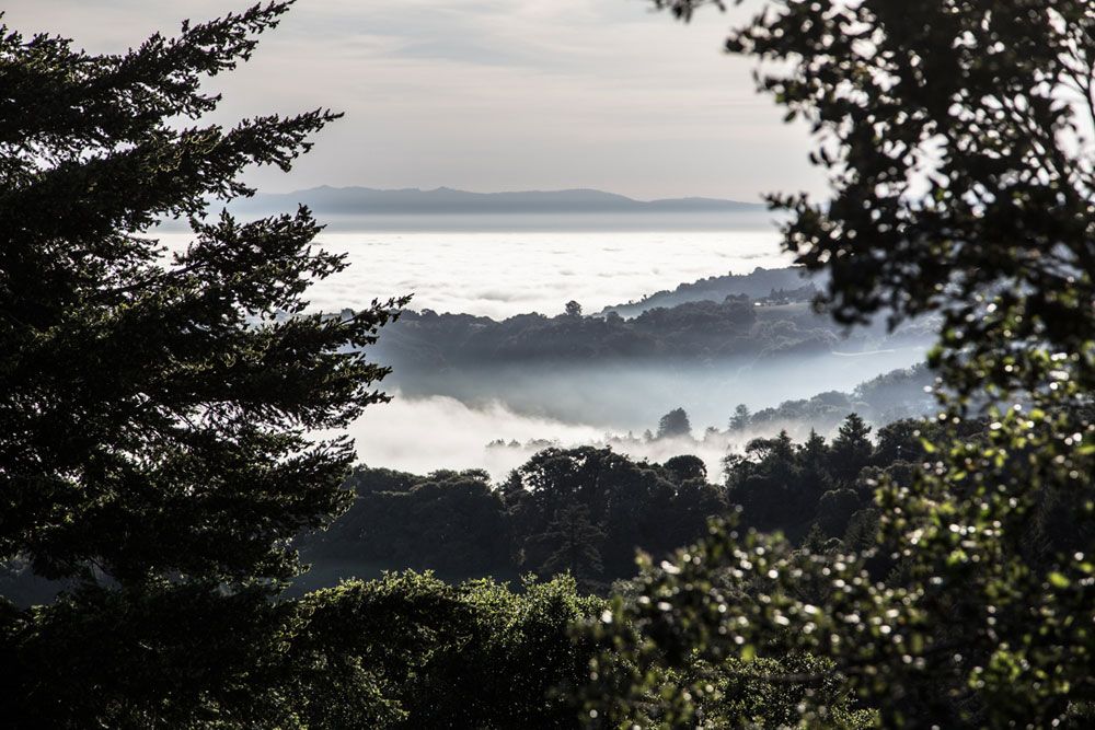 Vídeo: Nino Schurter. #HuntForGlory. Cap. 5 (Making-of)