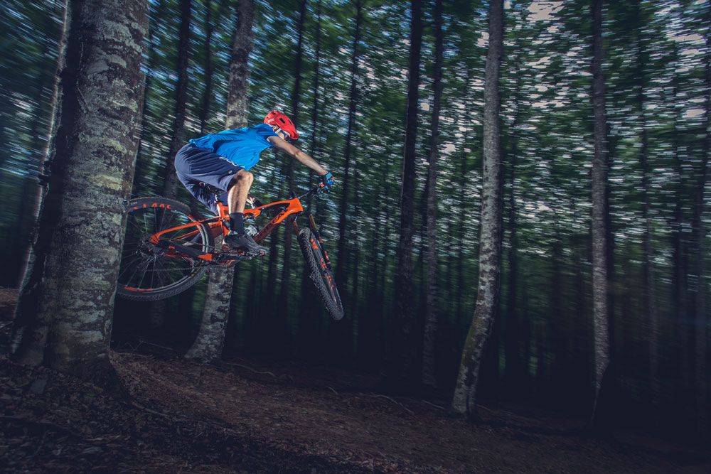 Orbea Occam AM y TR