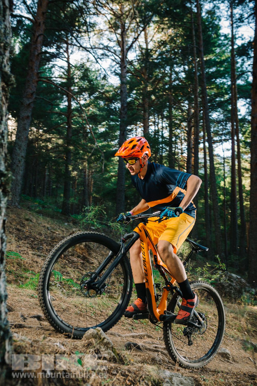 Test: Specialized Stumpjumper Expert Carbon 29” 2016