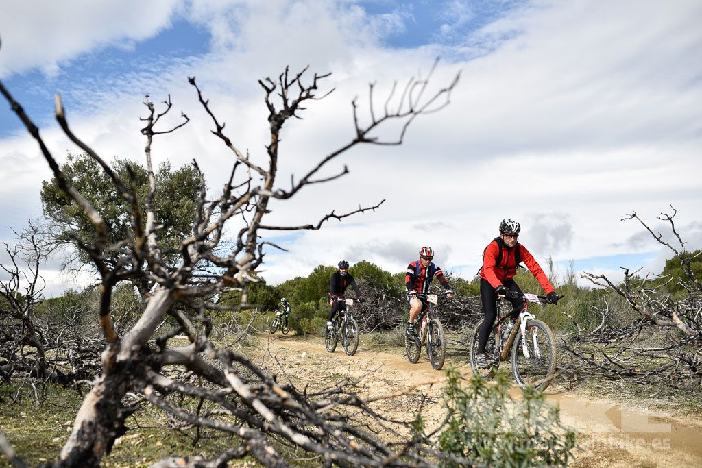 MTB 4 Estaciones Valdemorillo 2016 Ubicación 1 Galería 5