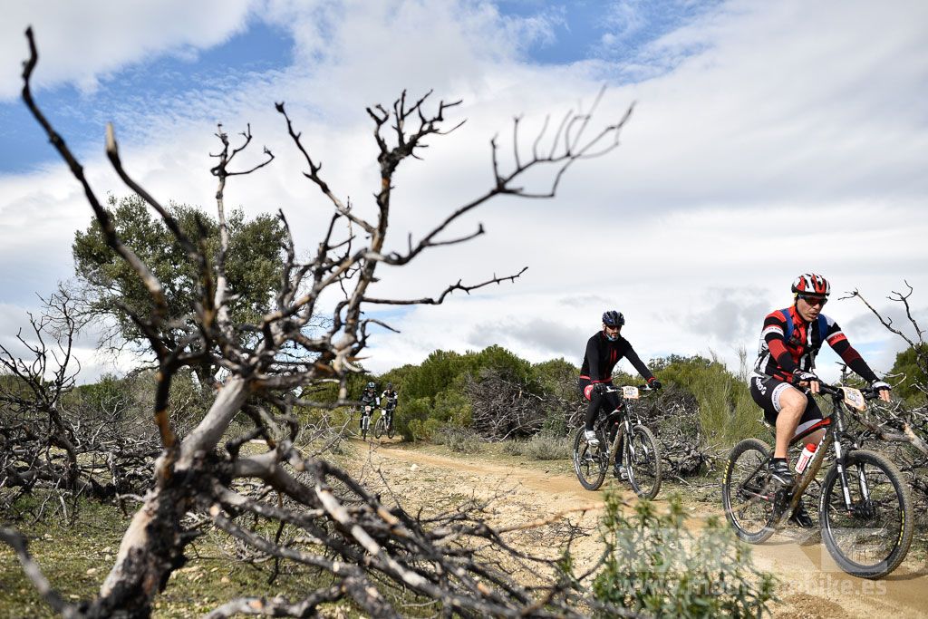 MTB 4 Estaciones Valdemorillo 2016 Ubicación 1 Galería 5