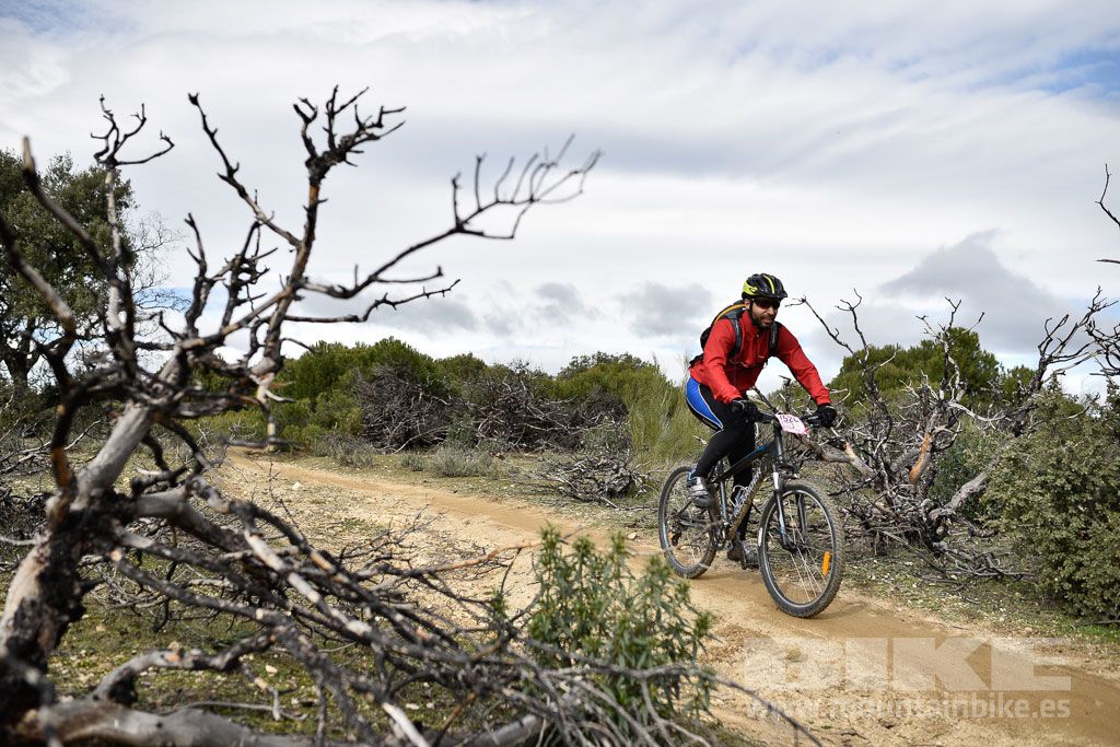 MTB 4 Estaciones Valdemorillo 2016 Ubicación 1 Galería 5