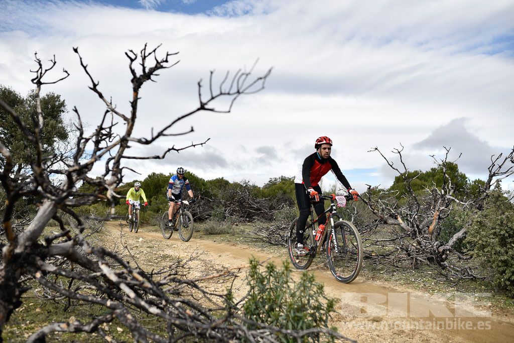 MTB 4 Estaciones Valdemorillo 2016 Ubicación 1 Galería 5