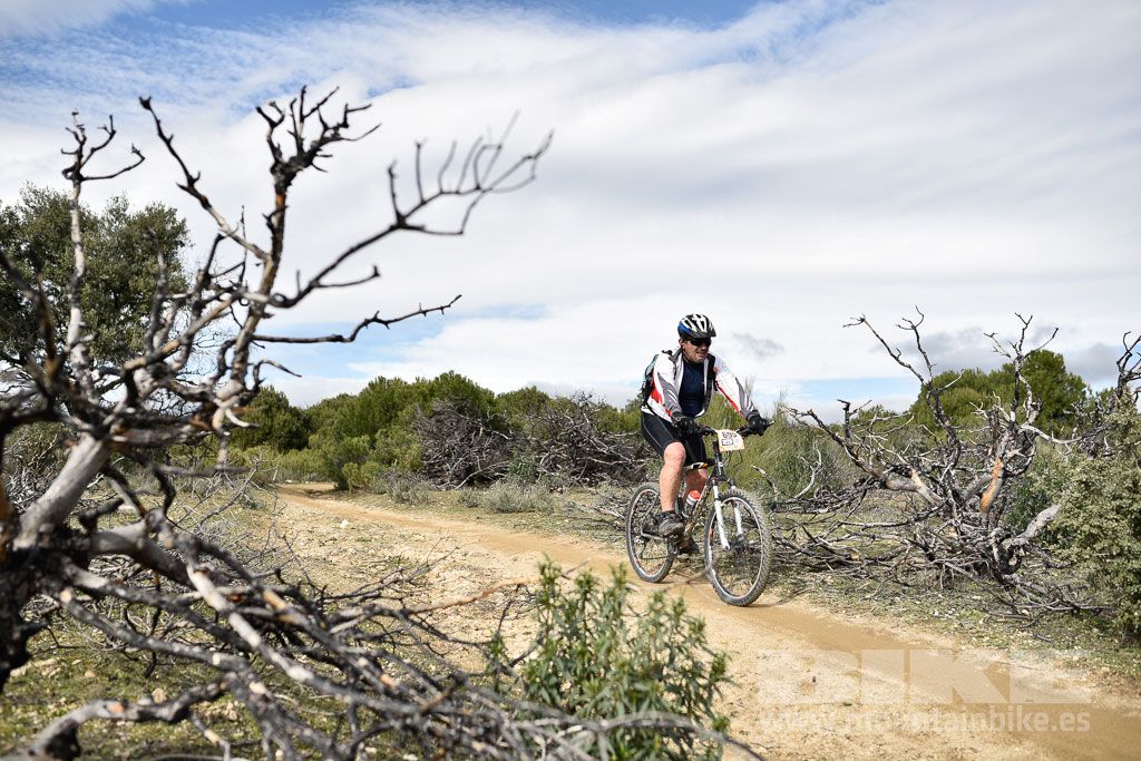 MTB 4 Estaciones Valdemorillo 2016 Ubicación 1 Galería 5