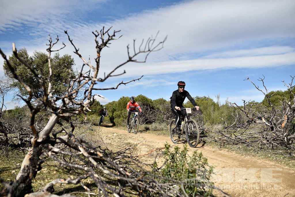 MTB 4 Estaciones Valdemorillo 2016 Ubicación 1 Galería 1