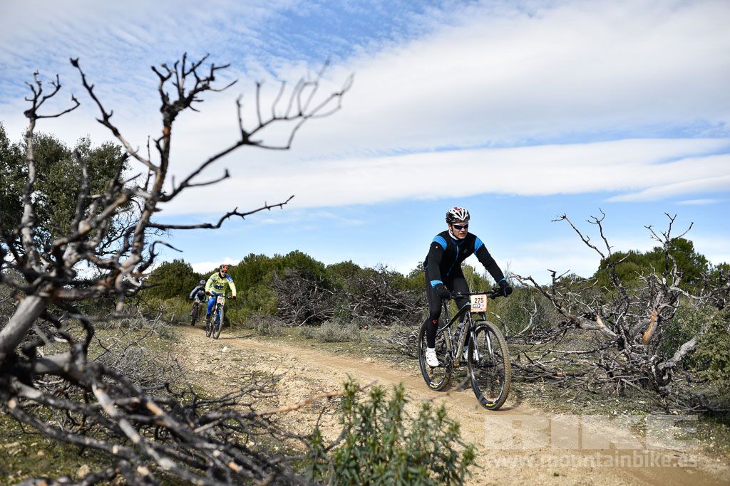 MTB 4 Estaciones Valdemorillo 2016 Ubicación 1 Galería 2