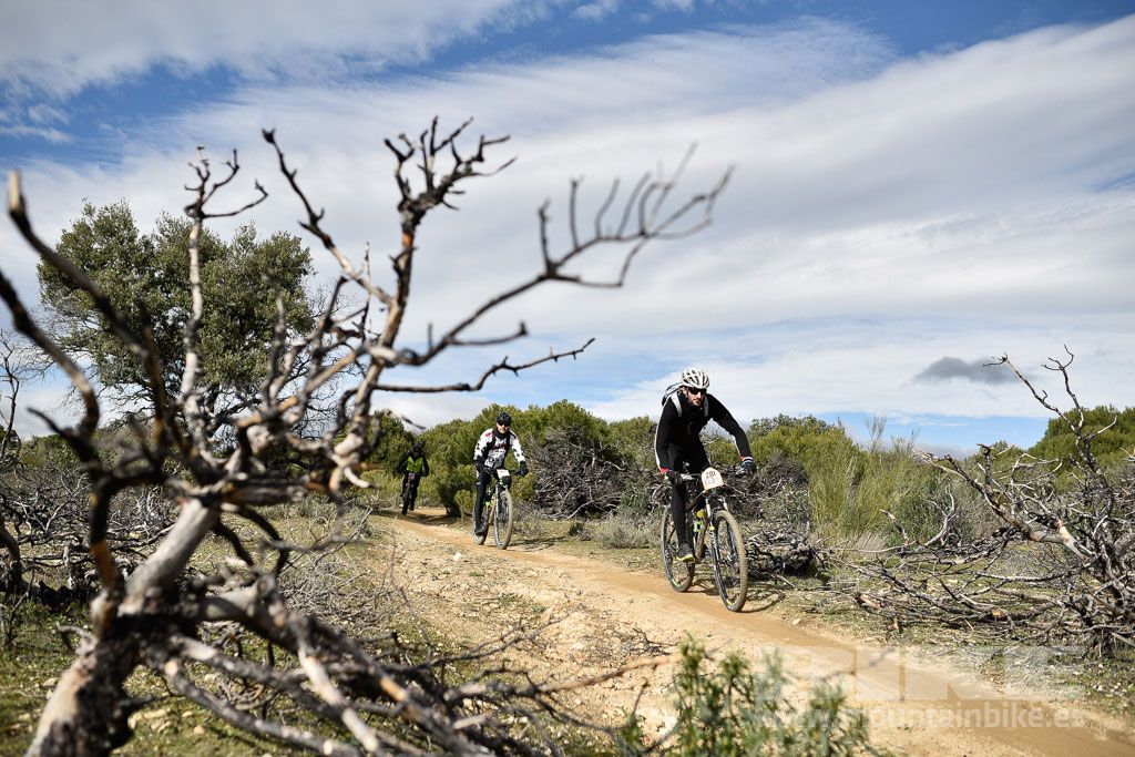 MTB 4 Estaciones Valdemorillo 2016 Ubicación 1 Galería 4