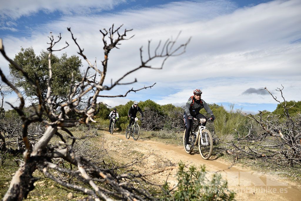 MTB 4 Estaciones Valdemorillo 2016 Ubicación 1 Galería 4