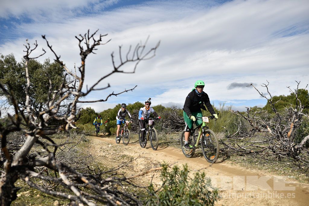 MTB 4 Estaciones Valdemorillo 2016 Ubicación 1 Galería 4