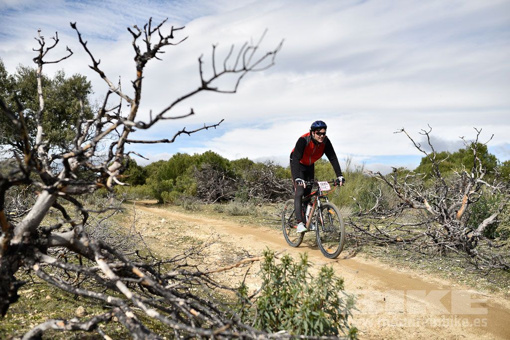 MTB 4 Estaciones Valdemorillo 2016 Ubicación 1 Galería 4