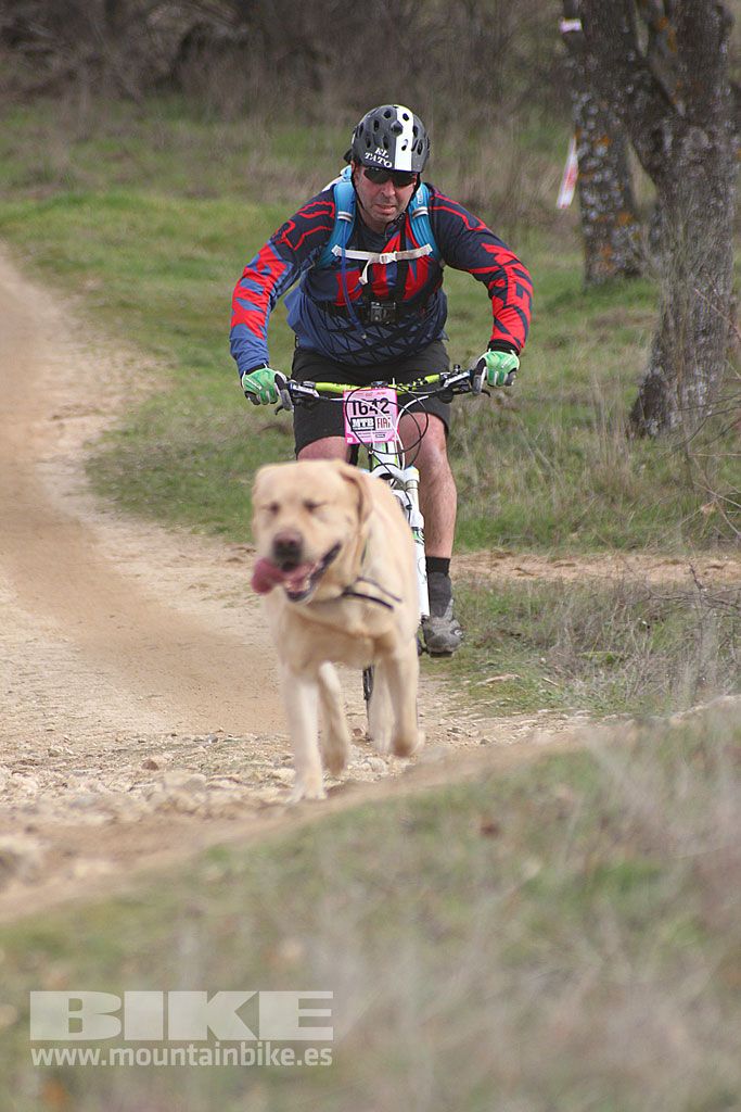 MTB 4 Estaciones Valdemorillo 2016 Ubicación 2 Galería 12
