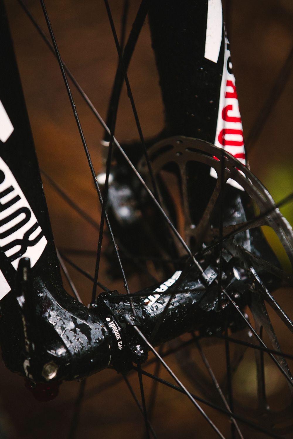 Nuevas ruedas SRAM Roam 60 y bujes 900