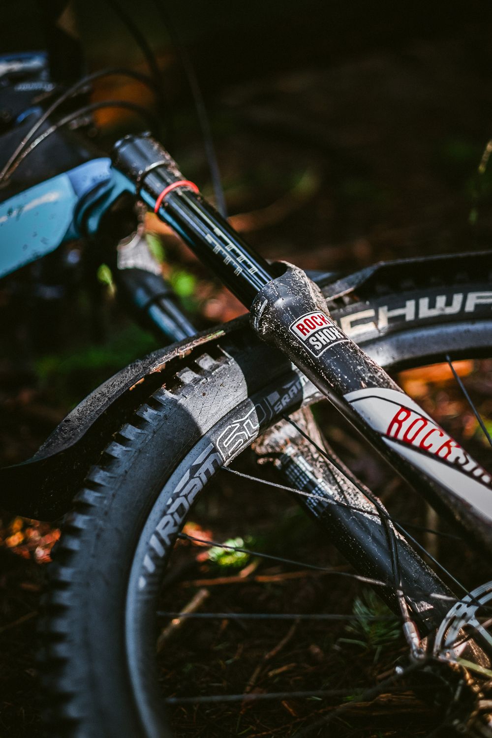 Nuevas ruedas SRAM Roam 60 y bujes 900