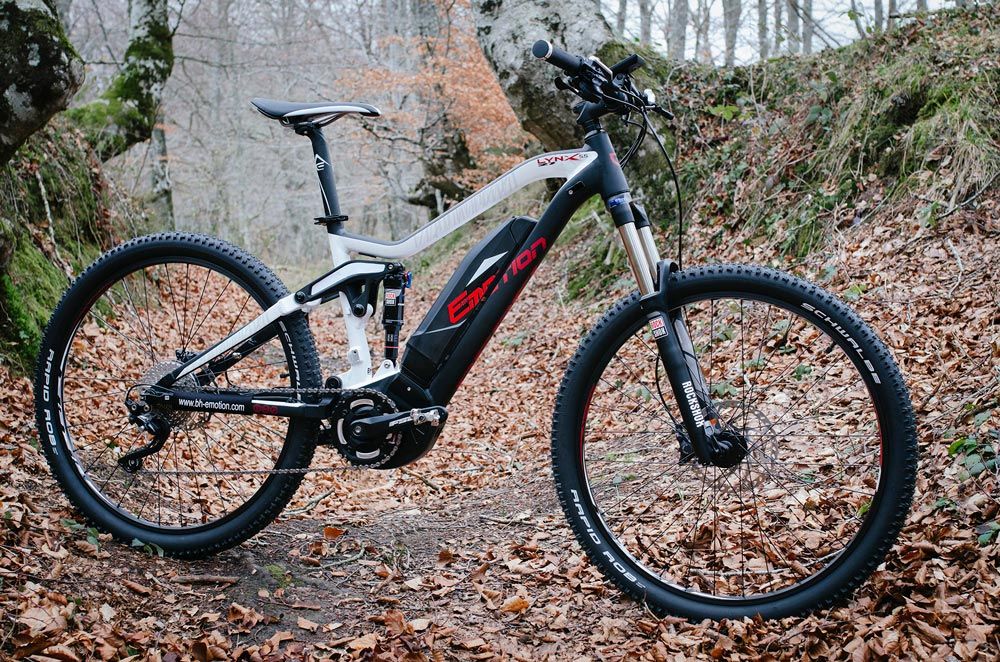 BH Rebel Lynx