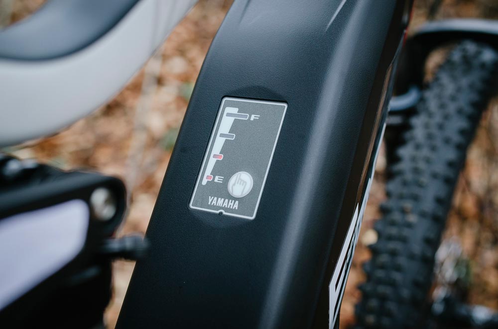 BH Rebel Lynx