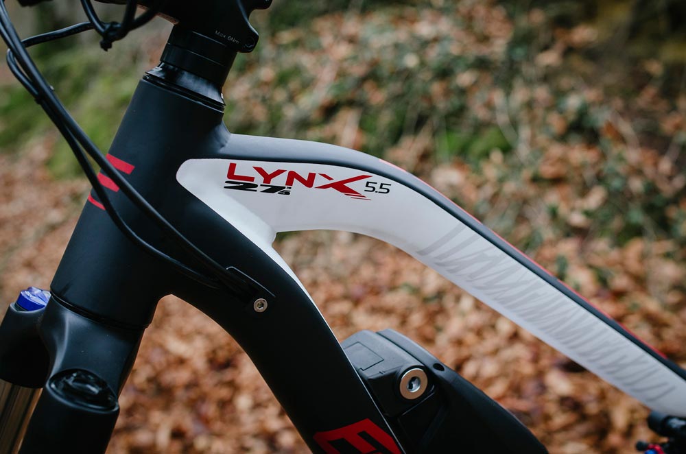 BH Rebel Lynx