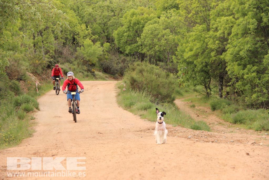 BIKE Maratón Sierra de Madrid 2016.Km 4