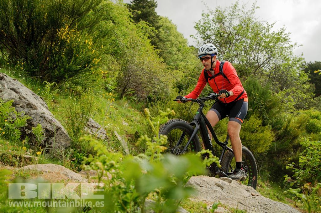 Test The Best 2016. Fotos de las pruebas de bicis