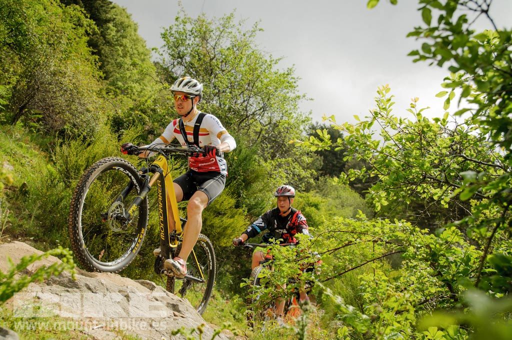 Test The Best 2016. Fotos de las pruebas de bicis