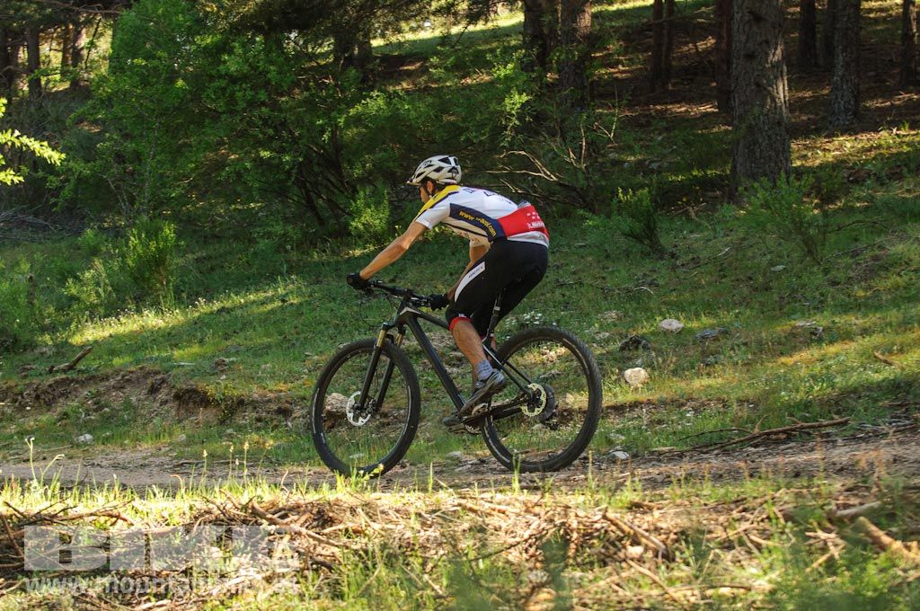 Test The Best 2016. Fotos de las pruebas de bicis
