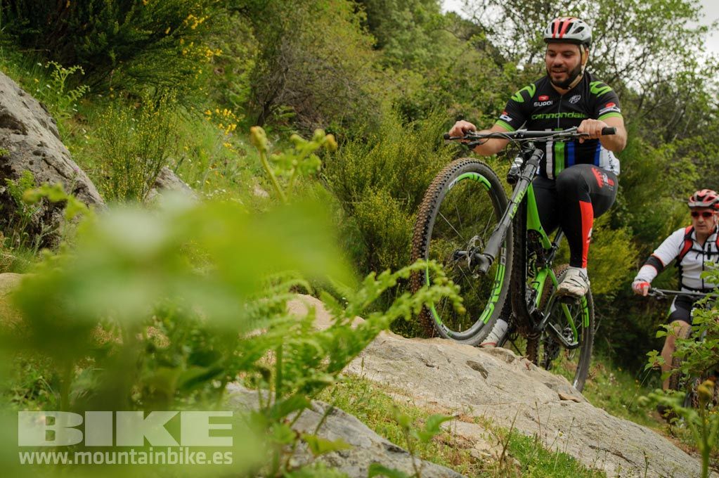 Test The Best 2016. Fotos de las pruebas de bicis