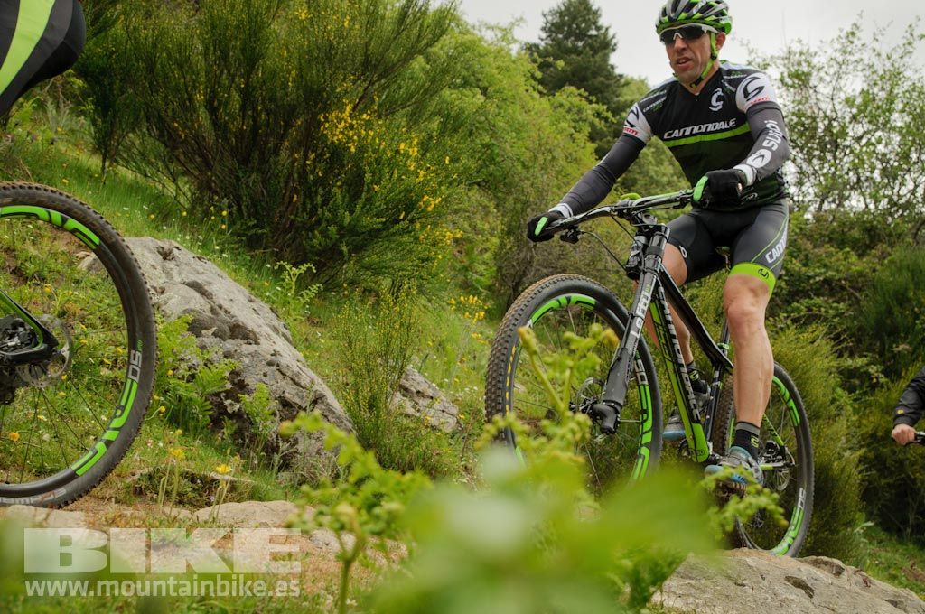 Test The Best 2016. Fotos de las pruebas de bicis