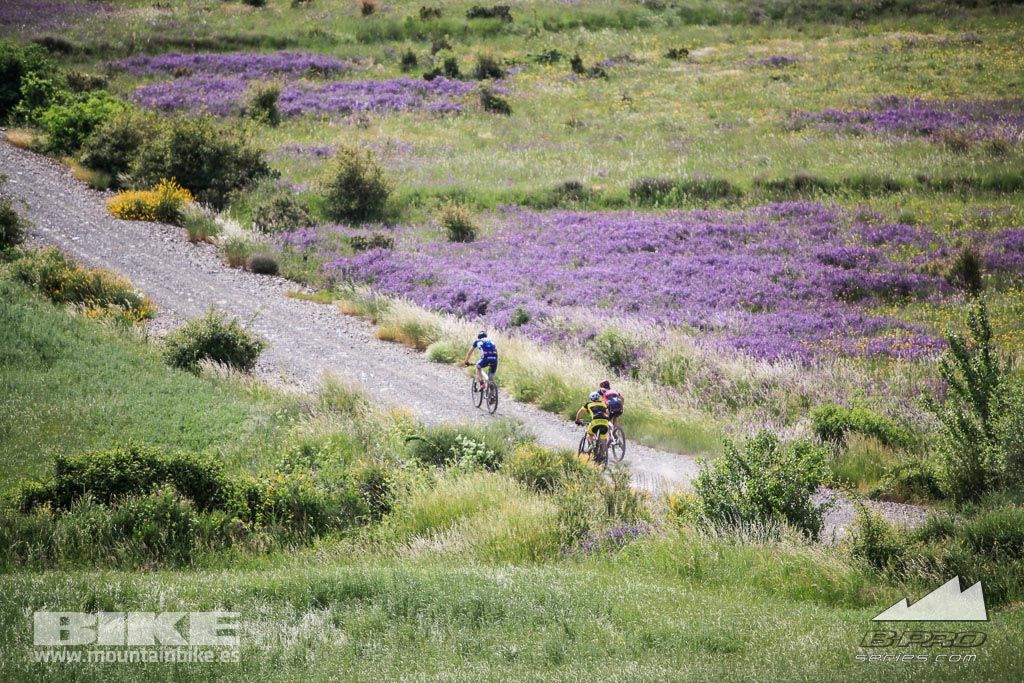 Riaza B-PRO Bike Maratón. Galería 7