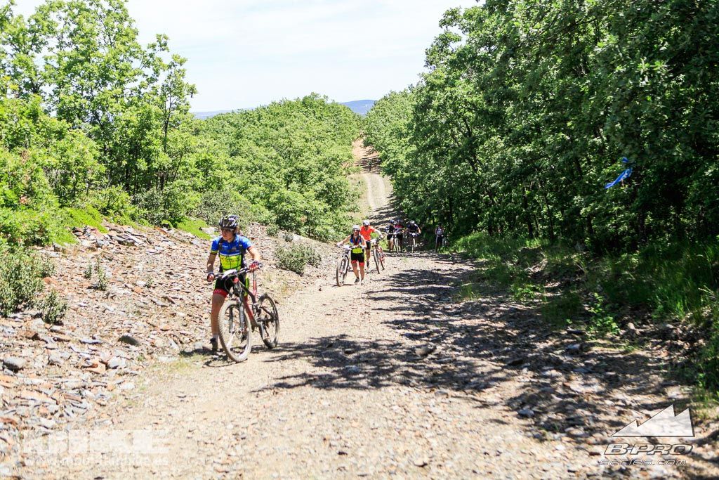 Riaza B-PRO Bike Maratón. Galería 8