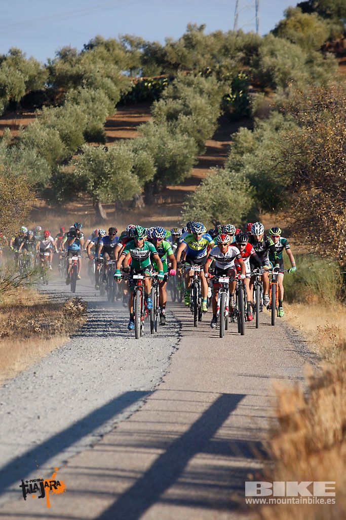 Talajara 2016. Vía Verde de la Jara. Recorrido largo. Galería 1