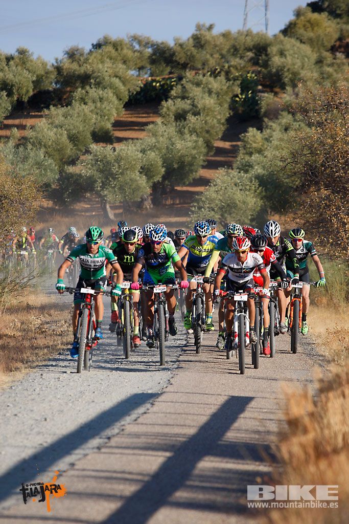 Talajara 2016. Vía Verde de la Jara. Recorrido largo. Galería 1