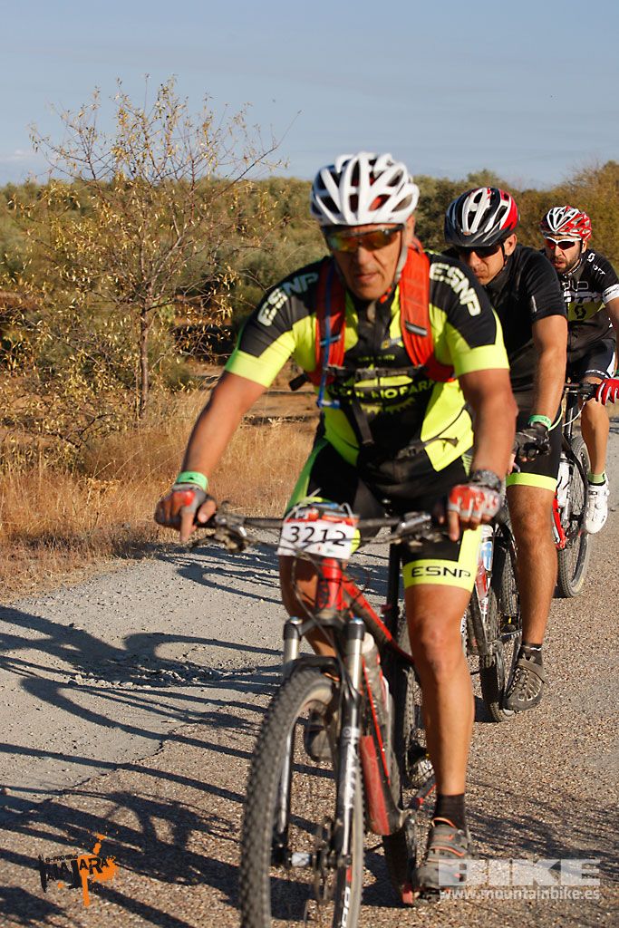 Talajara 2016. Vía Verde de la Jara. Recorrido largo. Galería 1