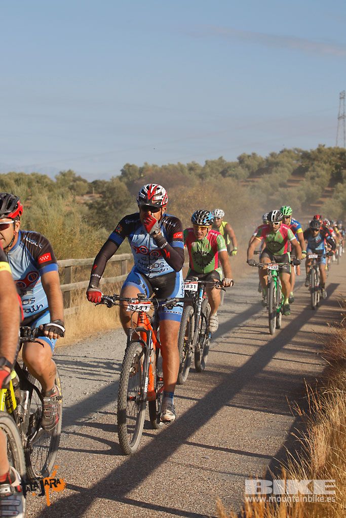Talajara 2016. Vía Verde de la Jara. Recorrido largo. Galería 1
