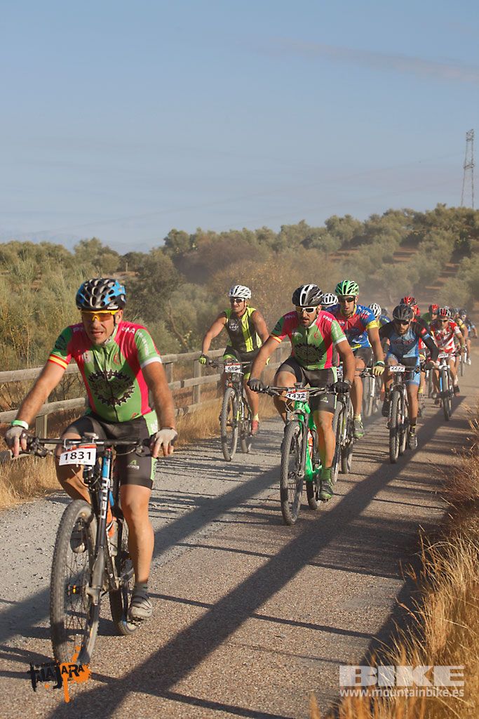 Talajara 2016. Vía Verde de la Jara. Recorrido largo. Galería 1