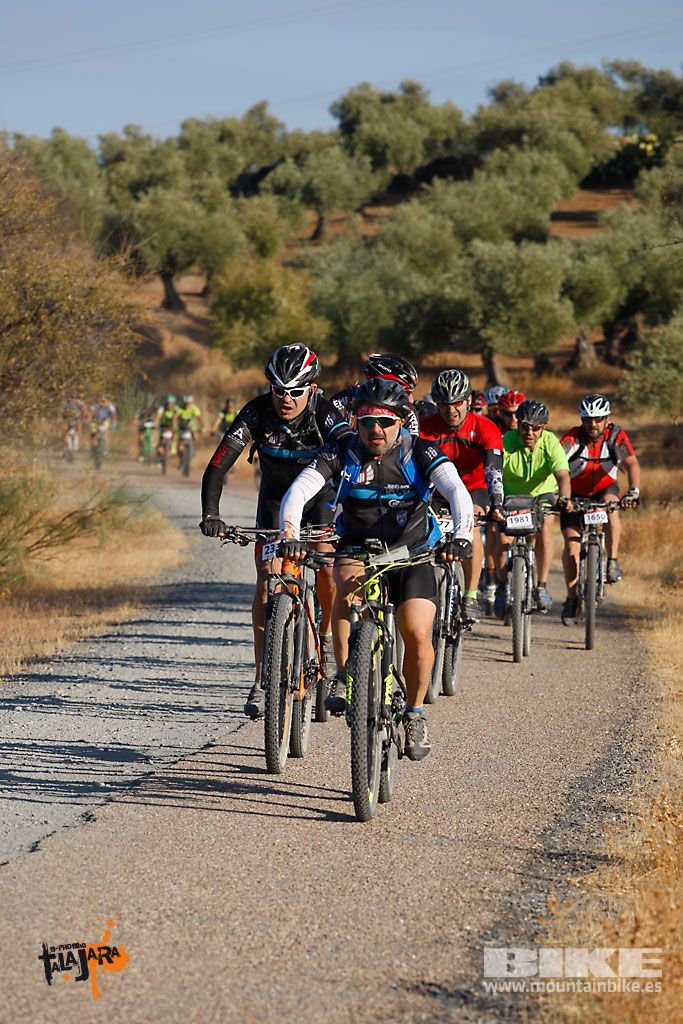 Talajara 2016. Vía Verde de la Jara. Recorrido largo. Galería 1