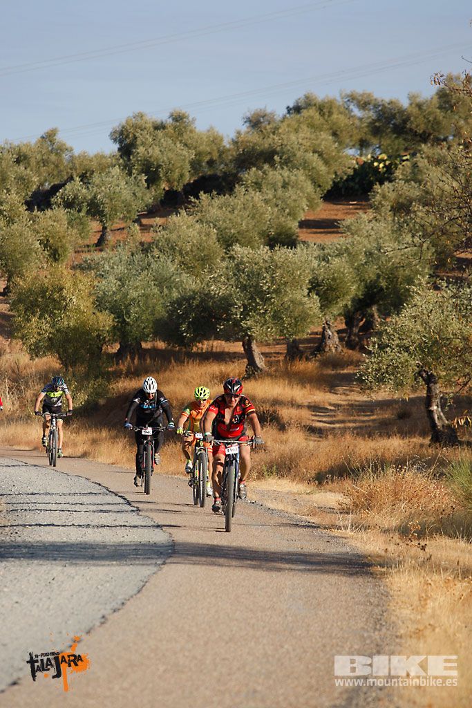 Talajara 2016. Vía Verde de la Jara. Recorrido largo. Galería 1