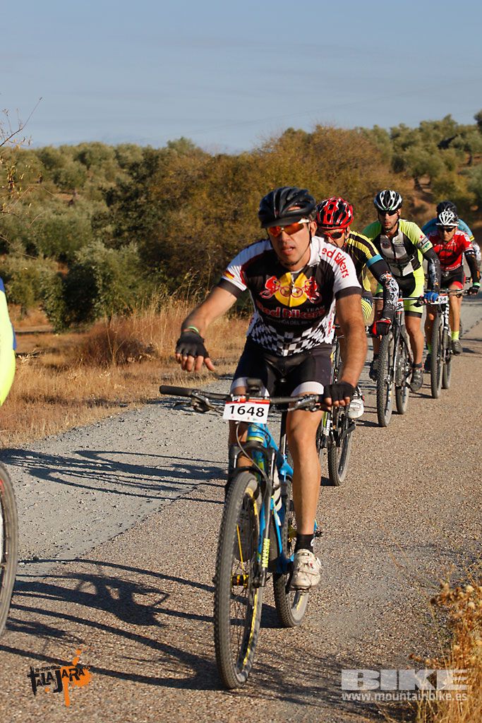 Talajara 2016. Vía Verde de la Jara. Recorrido largo. Galería 1
